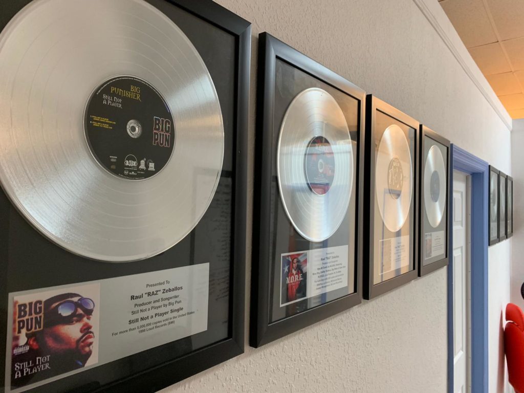 Framed record plaques displayed in the Rare Monkey Studios hallway